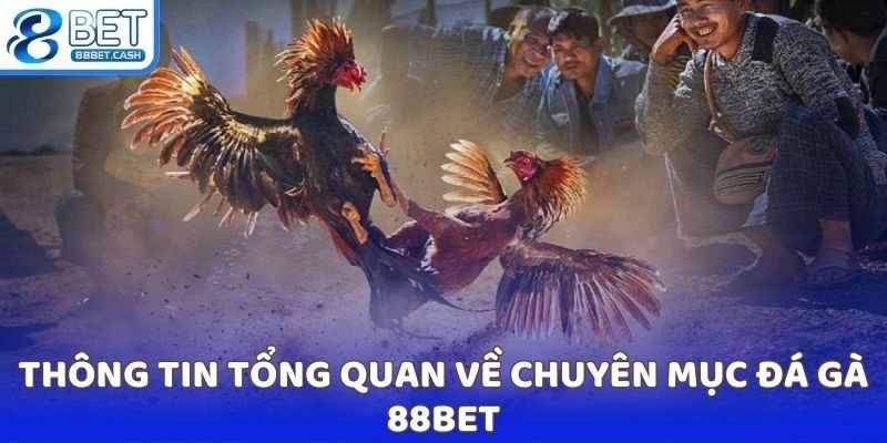 Thông tin tổng quan về chuyên mục đá gà 88BET