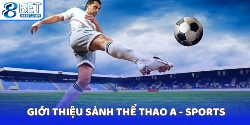 Những điểm cộng vượt trội của sảnh thể thao A - sports