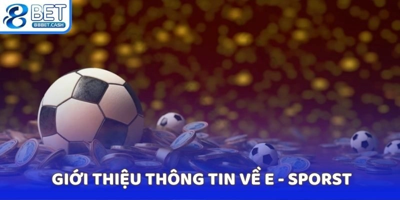 Giới thiệu thông tin về E - Sporst