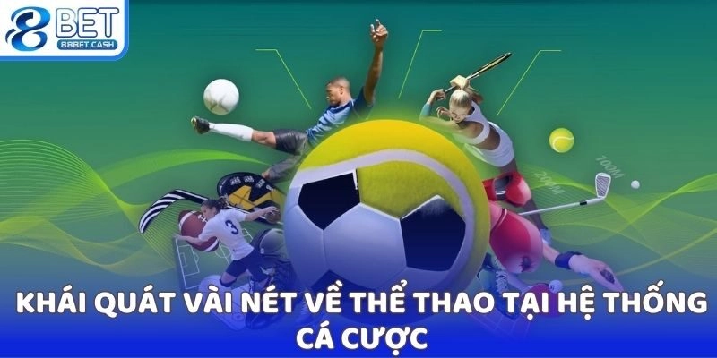 Khái quát vài nét cơ bản