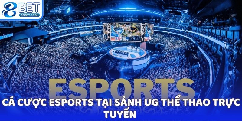 UG Thể Thao – Điểm Đến Hàng Đầu Cho Hội Viên 88BET